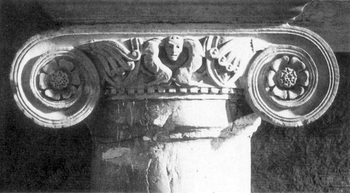 Bd_3_322.jpg